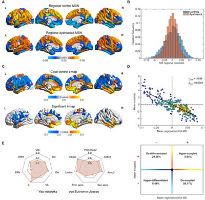 Cortical structural differences following repeated ayahuasca use hold molecular signatures